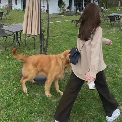 奇迹缔造者第三季